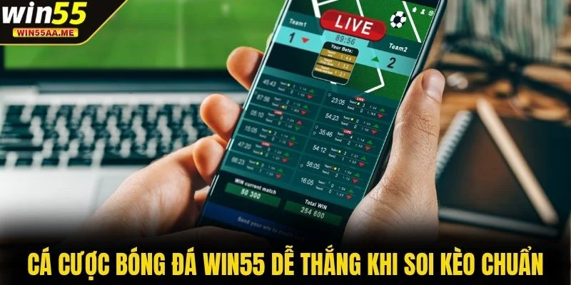 Cá cược bóng đá WIN55 dễ thắng khi soi kèo chuẩn