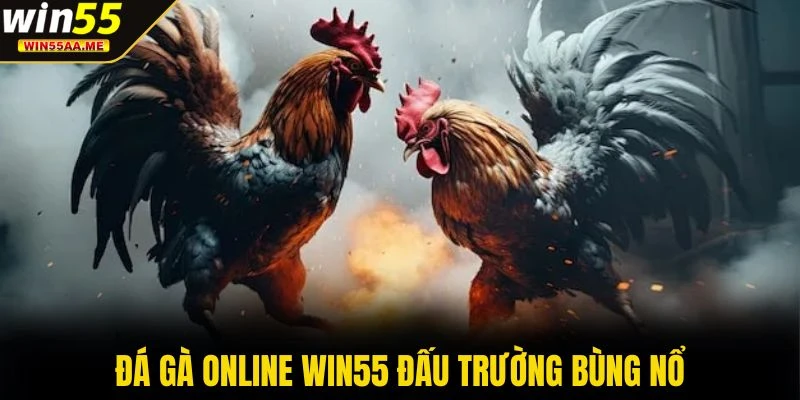 Đá gà online WIN55 đấu trường bùng nổ